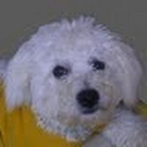Meet your Posher, Setsuko